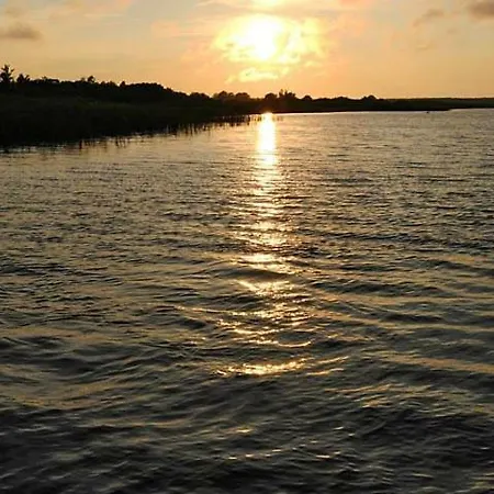 Boguslaw X בית חווה