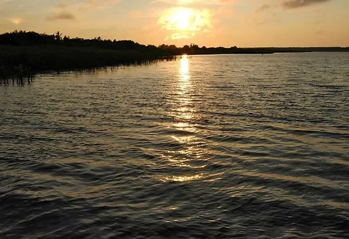 Boguslaw X בית חווה